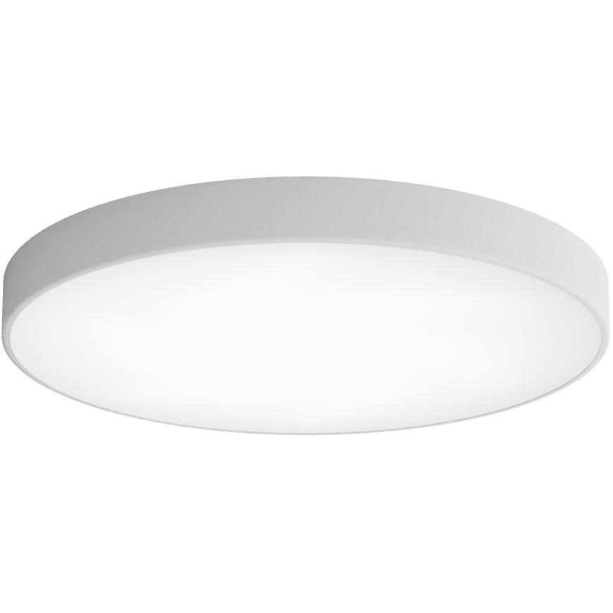 LED Plafondlamp CLEO LED/96W/230V 4000K diameter 80 cm grijs