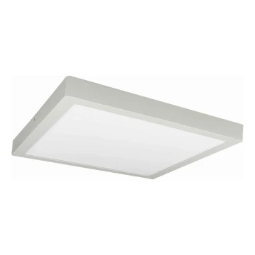 LED Plafondlamp FENIX LED/32W/230V 3800K 40 cm wit