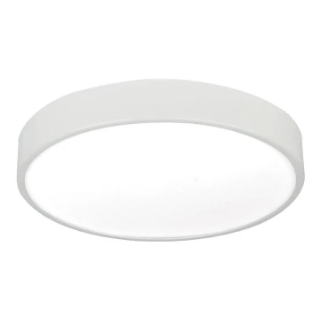 LED Plafondlamp LED/16W/230V