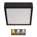 LED Plafondlamp NEXXO LED/12,5W/230V 3000/3500/4000K 17x17 cm zwart