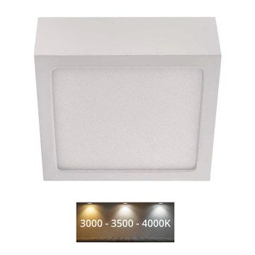 LED Plafondlamp NEXXO LED/7,6W/230V 3000/3500/4000K 12x12 cm wit