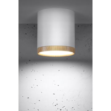 LED Plafondlamp TUBA LED/5W/230V wit/beige