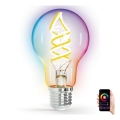 LED RGBW Lamp FILAMENT A60 E27/4,9W/230V 2700K - Aigostar
