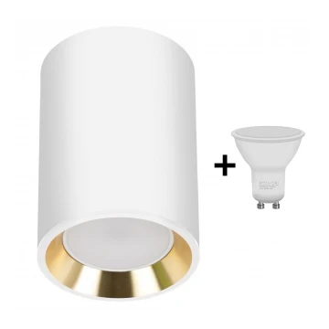 LED Spot CHLOE 1xGU10/6W/230V rond wit/goud