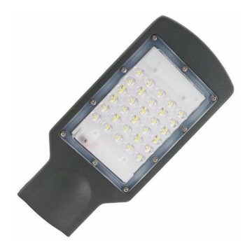 LED Straatlantaarn LED/30W/170-400V IP67