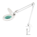 LED Tafellamp met Vergrootglas LED/9W/230V wit