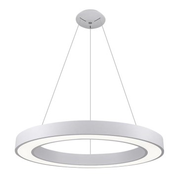 LED2 - LED Hanglamp aan een koord SATURN LED/80W/230V 3000K diameter 80 cm wit