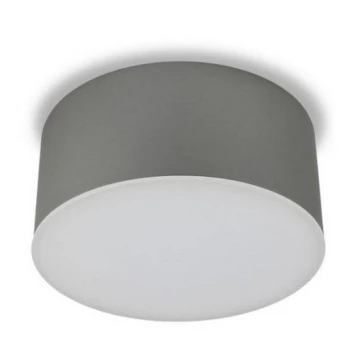LED2 - LED Plafond Lamp BUTTON LED/17W/230V zilver