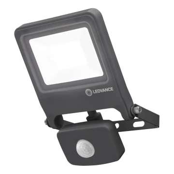 Ledvance - LED Schijnwerper ENDURA met sensor LED/20W/230V IP44