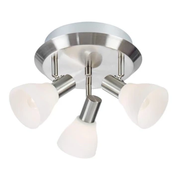 Markslöjd 107505 - Plafond Spot VERO 3xE14/40W/230V chroom