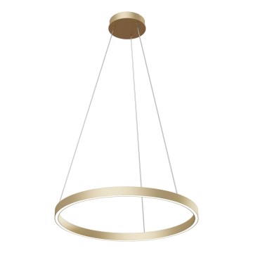 Maytoni MOD058PL-L32BS4K - LED Hanglamp aan een koord RIM LED/37W/230V 4000K diameter 60 cm goud