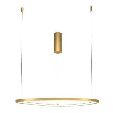 Maytoni MOD072PL-L28BS3K1 - LED Hanglamp aan een koord GLINT LED/24W/230V goud diameter 60 cm