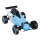 Op afstand bestuurbare Buggy Formula blauw/zwart
