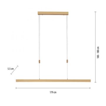 Paul Neuhaus 2568-60 - Dimbare LED hanglamp aan een koord ADRIANA LED/14W/230V  2700-5000K messing