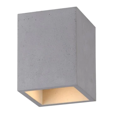 Paul Neuhaus 6161-22 - Spot ETON 1xGU10/10W/230V beton