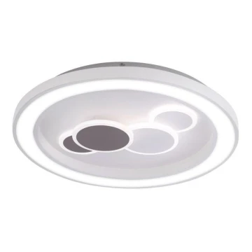 Paul Neuhaus 6284-16 - LED Plafond Lamp ELIZA LED/55,5W/230V