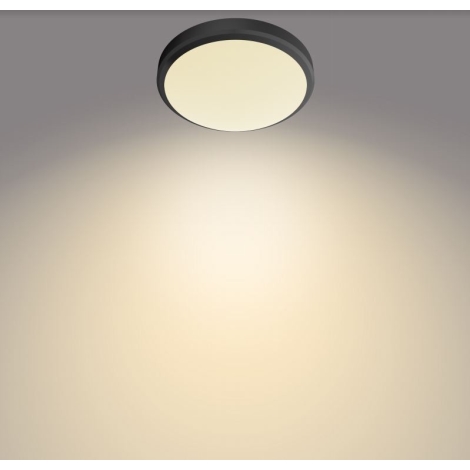 streep Ontmoedigen maak je geïrriteerd Philips - LED Badkamer Plafond Lamp DORIS LED/6W/230V IP44 | Lampenmanie