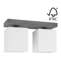 Plafondlamp GREAT 2xE27/25W/230V beton - FSC-gecertificeerd