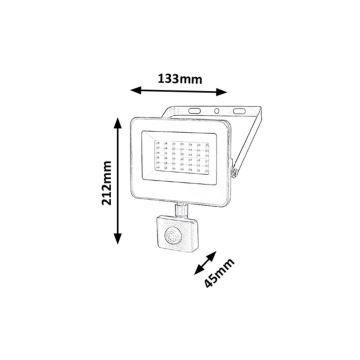 Rabalux - LED Schijnwerper met sensor LED/30W/230V 4000K IP44 zwart