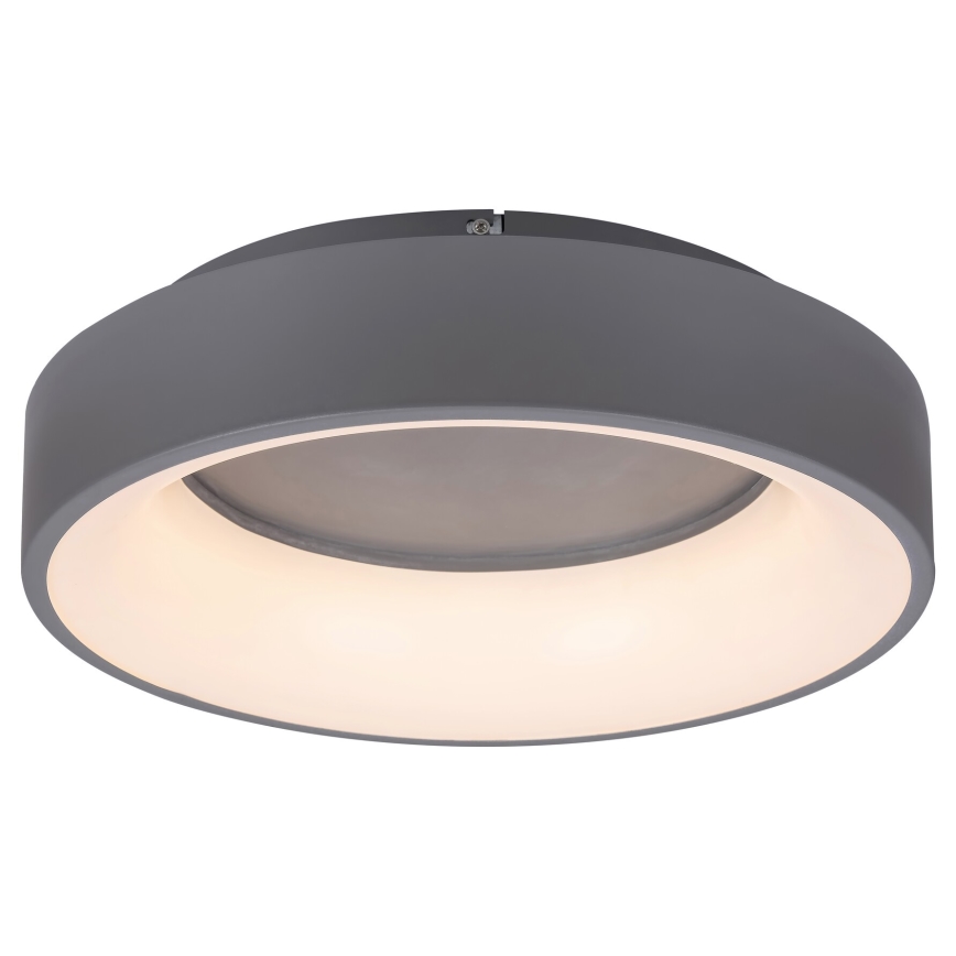 Rabalux - Dimbare LED Plafond Lamp LED/24W/230V rond + afstandsbediening 3000-6000K