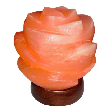 Rabalux - (Himalayan) Salt lamp 1xE14/15W/230V acacia 3,5 kg