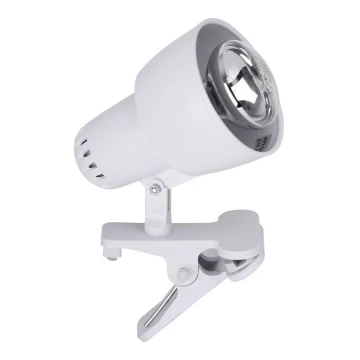 Rabalux - Klemlamp 1xE14/40W/230V wit