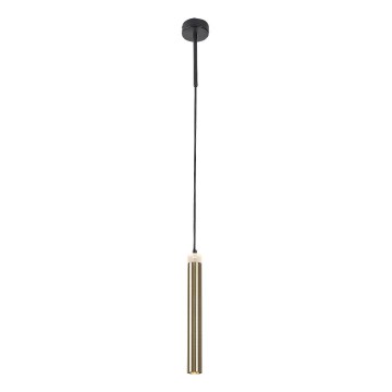 Rabalux - LED Hanglamp aan een koord LED/10W/230V 4000K zwart/goud