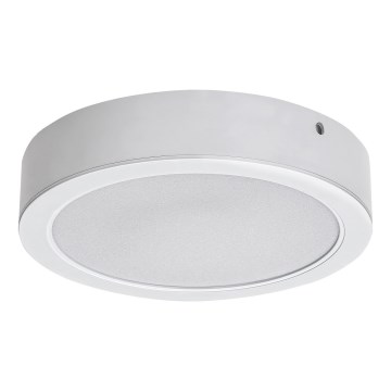 Rabalux - LED Plafondlamp LED/24W/230V 3000K diameter 22 cm wit