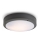 RED - Design Rendl - R10382 - Plafond Lamp voor Buiten SONNY 2xE27/18W/230V IP54