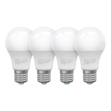 SET 4x LED Lamp ECOLINE A60 E27/10W/230V 4000K - Brilagi