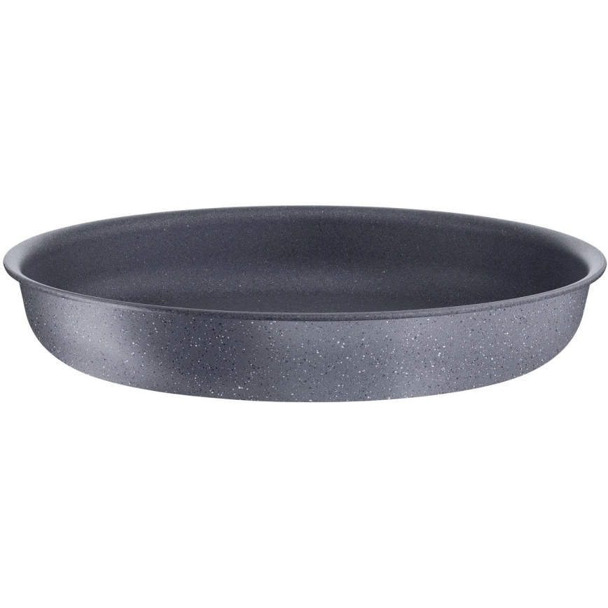 Tefal - Pan INGENIO NATURAL FORCE 24 cm