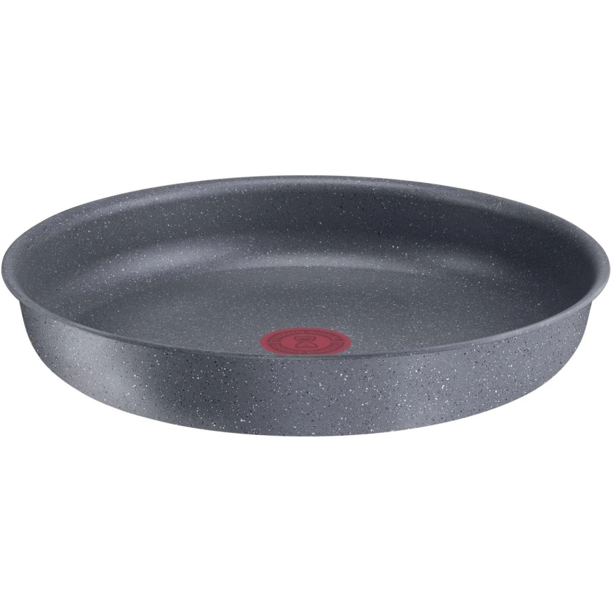 Tefal - Pan INGENIO NATURAL FORCE 24 cm