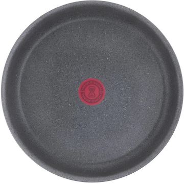 Tefal - Pan INGENIO NATURAL FORCE 24 cm