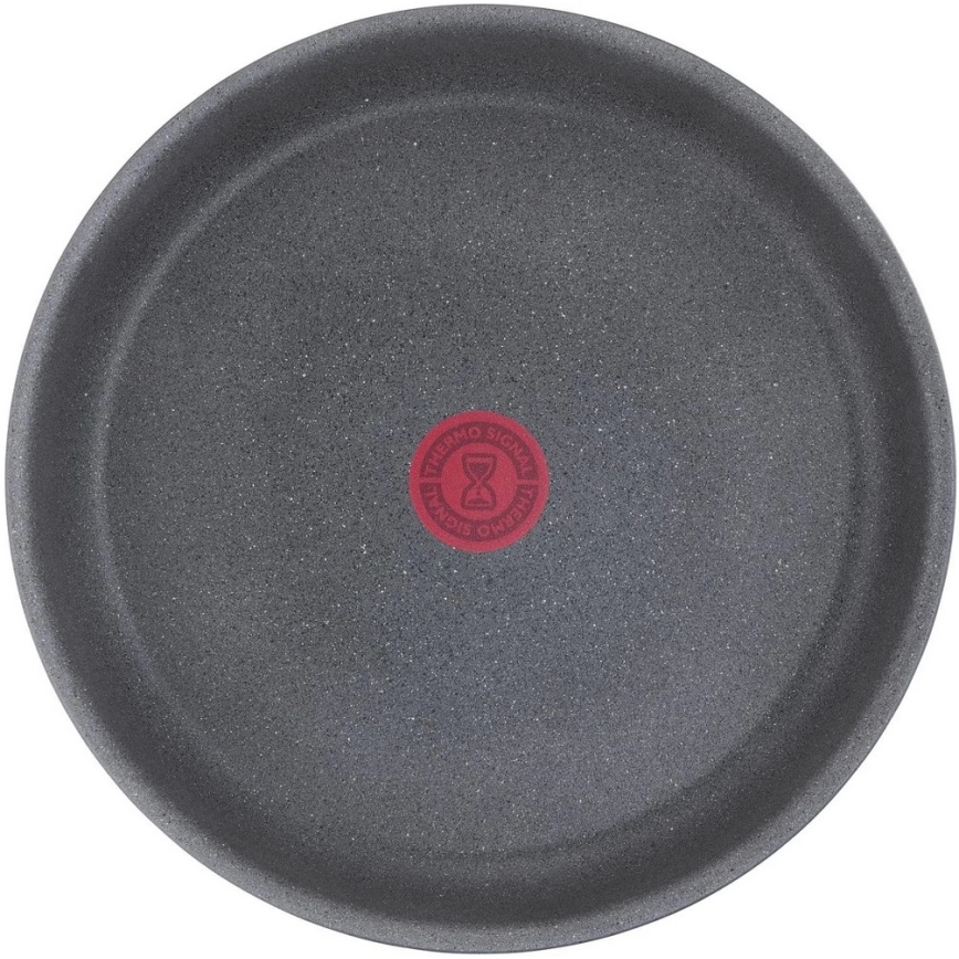 Tefal - Pan INGENIO NATURAL FORCE 24 cm