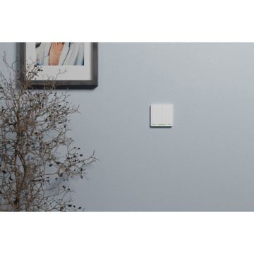 TESLA Smart - Slimme Thuis Schakelaar 2P 230V Zigbee