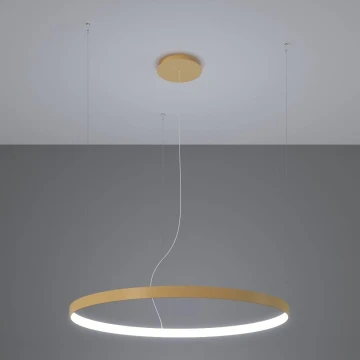 Thoro TH.217 - LED Hanglamp aan een koord RIO LED/30W/230V CRI95 4000K diameter 55 cm goud