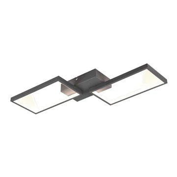 Trio - Dimbare LED Hanglamp voor Oppervlak Montage CAFU 2xLED/7W/230V