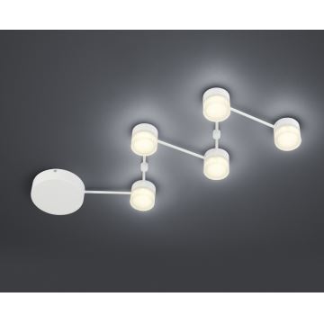 Trio - Dimbare LED plafondlamp  NASHVILLE 5xLED/3W/230V