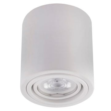 Witte LED Spotlamp TUBA 1x GU10 / 5W / 230V 2700K
