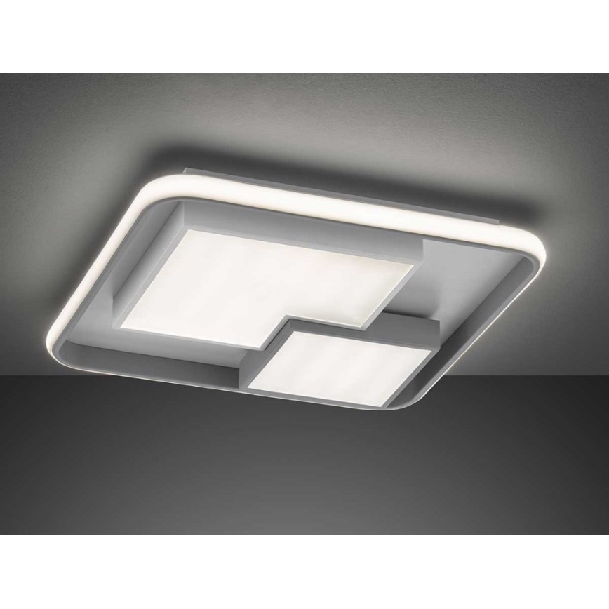 Wofi 11610 - Dimbare LED plafondlamp FELA LED/40,5W/230V 3000K