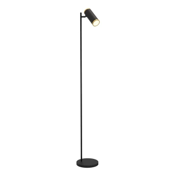 Wofi 3003-104 - Dimbare LED Staande lamp TOULOUSE LED/10W/230V zwart/goud