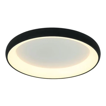 Zambelis 2048 - Dimbare LED Plafondlamp LED/50W/230V diameter 60 cm zwart