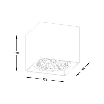 Zuma Line - Spot 1xGU10-ES111/15W/230V wit