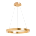 Zuma Line - LED Hanglamp aan een koord 1xLED/40W/230V 50 cm goud