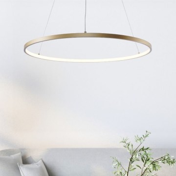 Zuma Line - LED Hanglamp aan een koord LED/28W/230V 3000/4000/6000K diameter 60 cm goud