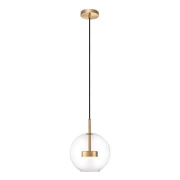 Zuma Line - LED Hanglamp aan een koord LED/5W/230V goud