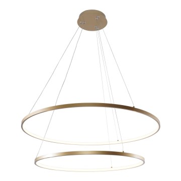 Zuma Line - LED Hanglamp aan een koord LED/60W/230V 3000/4000/6000K diameter 80 cm goud