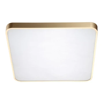 Zuma Line - LED Plafond Lamp LED/60W/230V goud